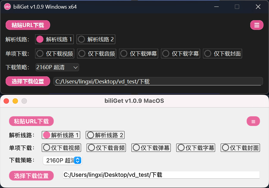 图片[2]-免费的B站视频下载工具biliGet 更新v1.0.9版本-聆曦博客