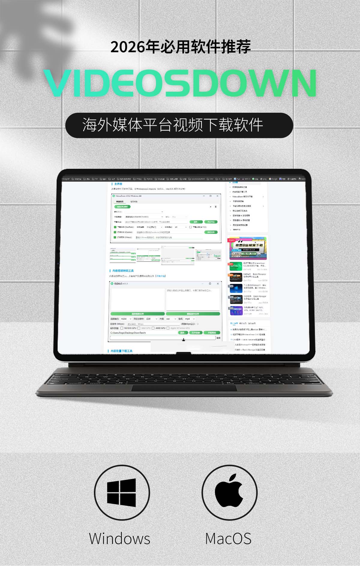 图片[1]-海外平台视频下载软件VideoDown，支持Windows与MacOS系统